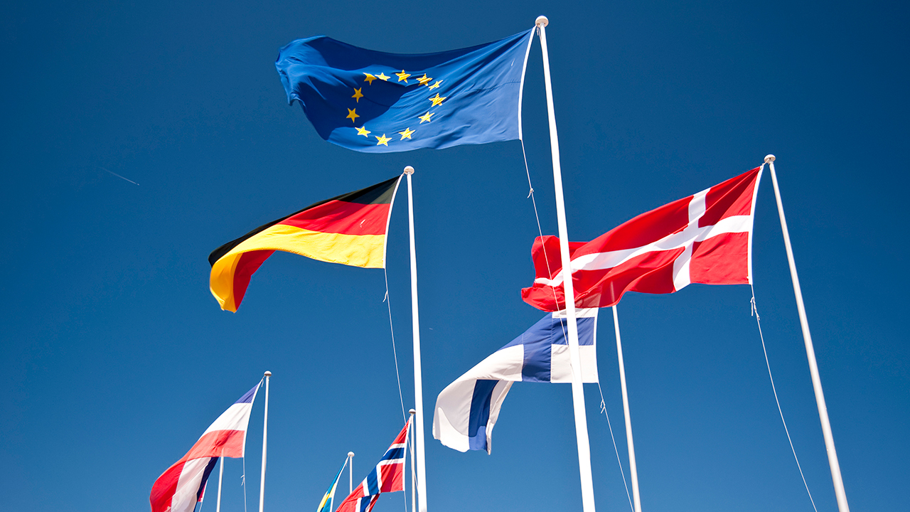 EU-flaggan och vissa medlemsländers flaggor.